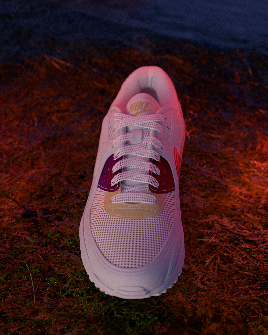 NikeShoe2Final